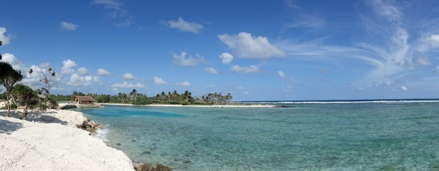 DSC07537a